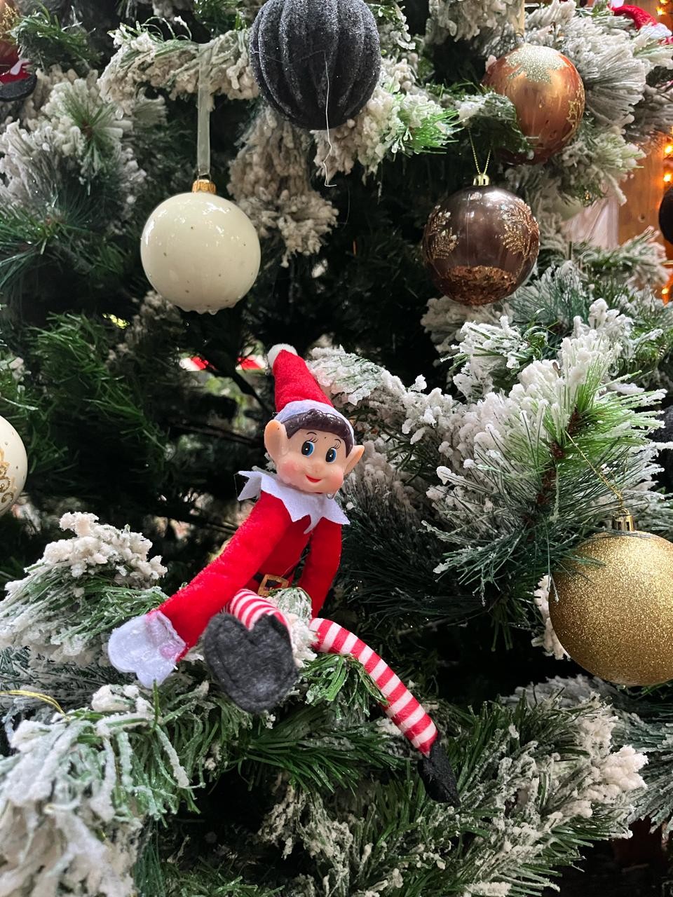 Noëland 2025 - photo 4